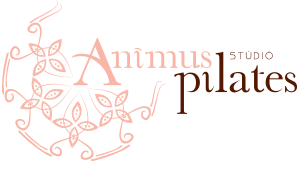 Animus Pilates Stúdió Budapest - Egyéni, stúdió Pilates edzések